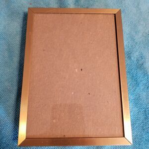 Brass finish picture frame holds 5x7 photo